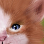 Draw Some Realistic Animal Fur using Photoshop