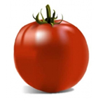 Realistic D Tomato Creation