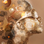 Awesome Image Transformation to Colorful Circles