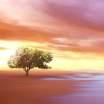 Create a Beautiful Natural Sunset Scenery