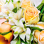 Collection of Mothers Day Tutorials Illustrations and Templates