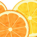 Create a Wonderful Sliced Orange