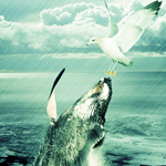 Forming a Dramatic Natural Preying Scene