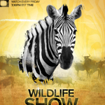 Design a Fabulous Animal Poster