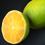 How to Beautify your Photos using Photoshop