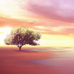 Amazing Creation of a Natural Scenery