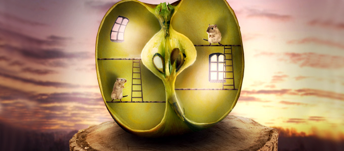 Create a Funny Apple House in Photoshop L
