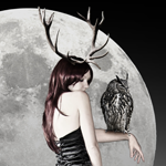 Manipulation an Elegant Night Scene of a Lady s