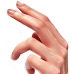 Drawing a Realistic Human Hand using Photoshop