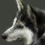 Making a Nice Dog Portrait