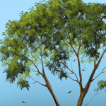 Drawing Nice Trees in a Quick Way