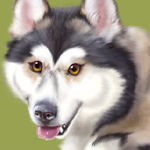 Drawing a Beautiful Dog Referring to an Image