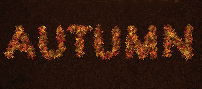 Making a Text Effect using Natural Leaves L