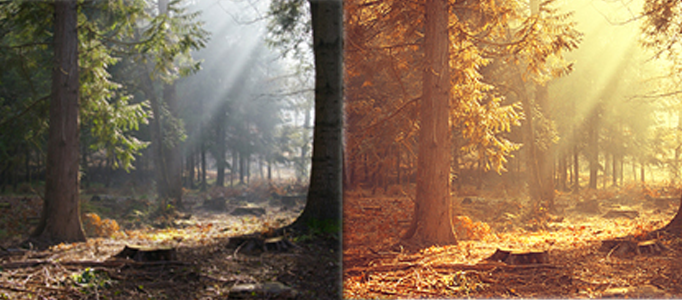 Making a Natural Sunset Scenery L