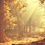 Making a Natural Sunset Scenery