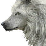 Tips of Painting Realistic Furs for Animals