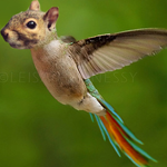 Forming a New Species of Animals