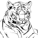 How to Drafting an Animal Simply