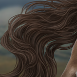 How to Draw a Horse Tail