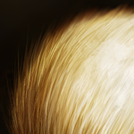 How to Draw Animals Fur Nicely