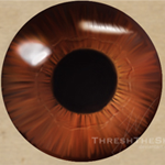 How to Paint a Realist Eye Ball