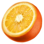 Step by Step to Draw a Realistic Orange