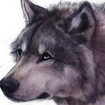 Simple Workthrough for Making a Wolf