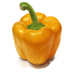 Drawing a Realistic Yellow Pepper