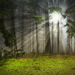 Add Light Rays to a Photo in Photoshop icon