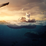 Compose a Surreal Underwater Scene With Adobe Photoshop icon
