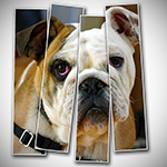 Vertical Photo Panels Effect With Photoshop icon